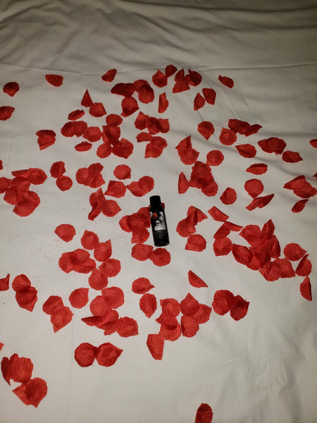 Hotel Room Setups
